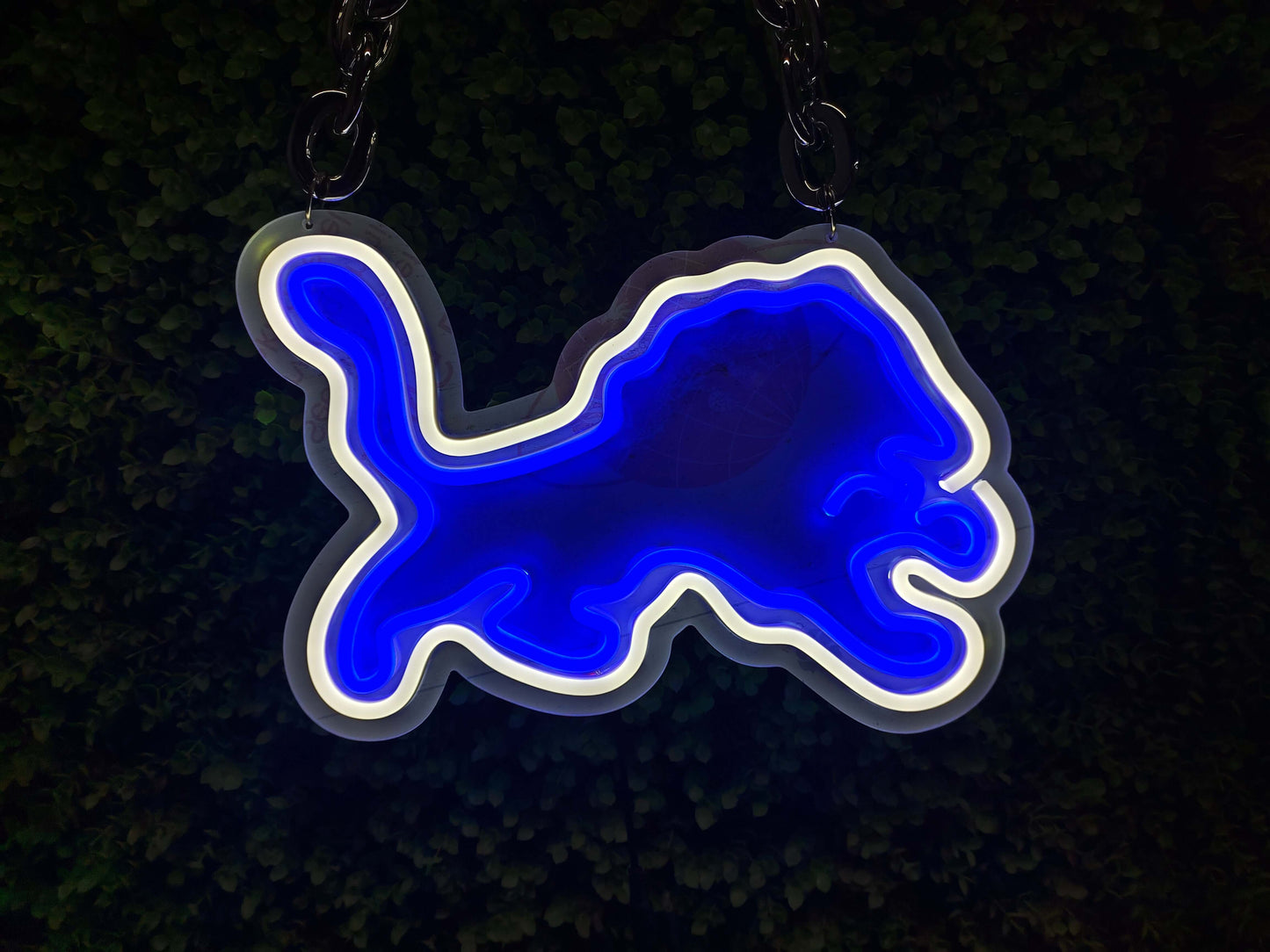 NFL Detroit Lions LED sport neon sign chain Chains for fans