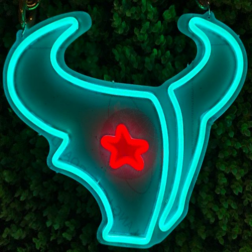 Houston Texans fans Exclusive Led big logo symbol including necklace Chains for fans