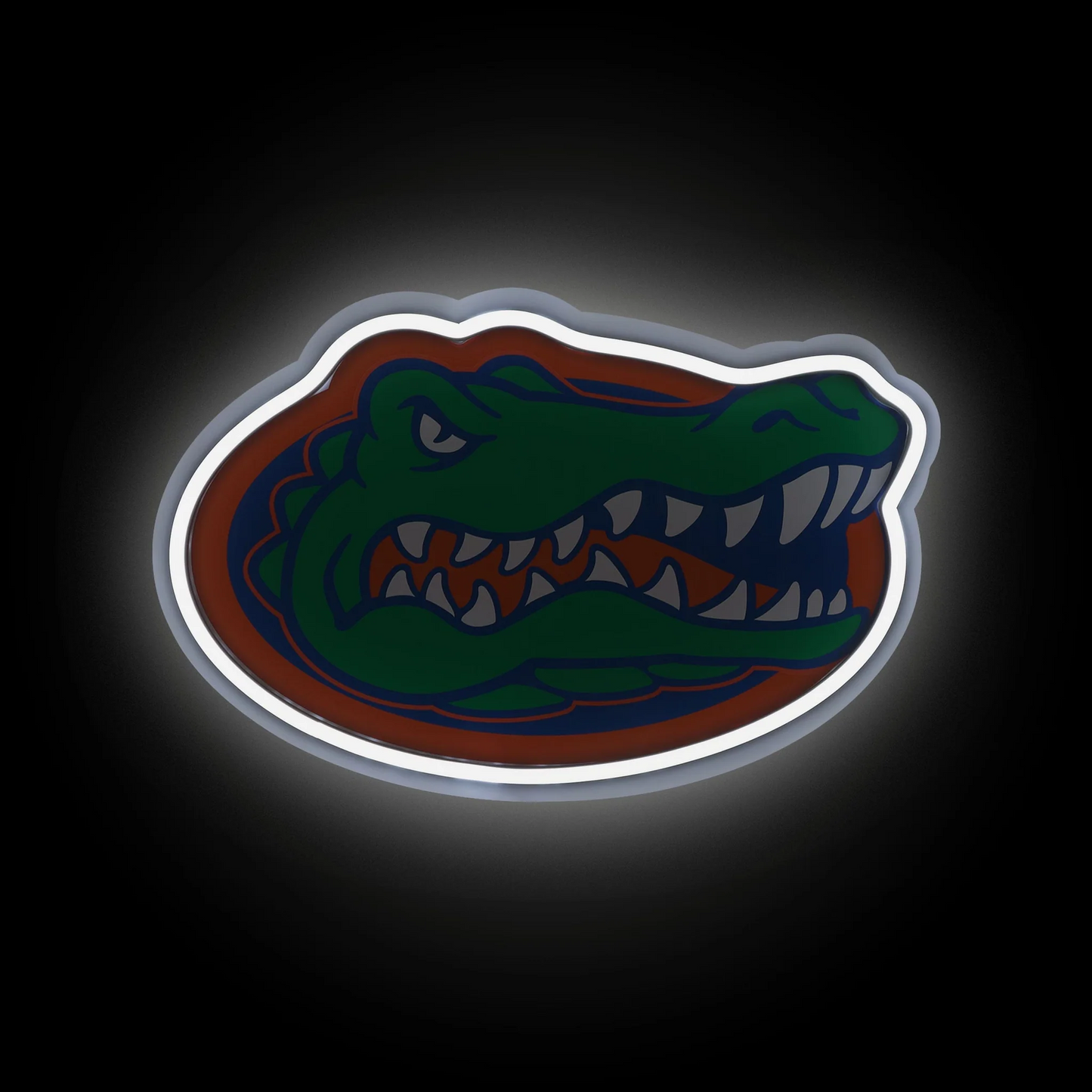 College Group Florida Gators LED Neon Light Up Team sign light Chains for fans
