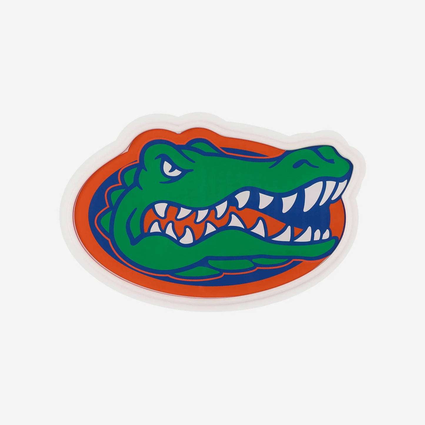 College Group Florida Gators LED Neon Light Up Team sign light(副本) Chains for fans