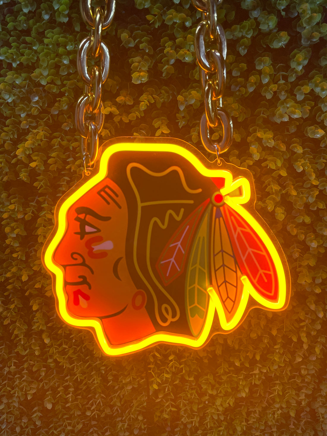 Chicago blackhawks