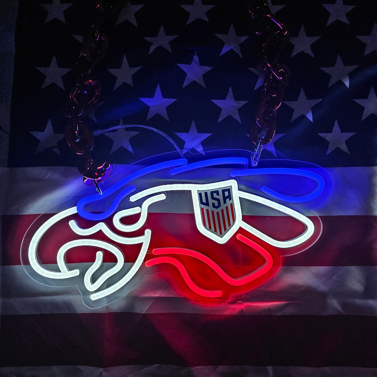 Philadelphia eagles American football LED Neon Sign with Hanging Chain Chains for fans