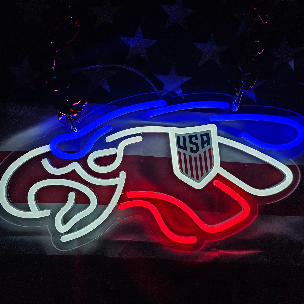 Philadelphia eagles American football LED Neon Sign with Hanging Chain Chains for fans