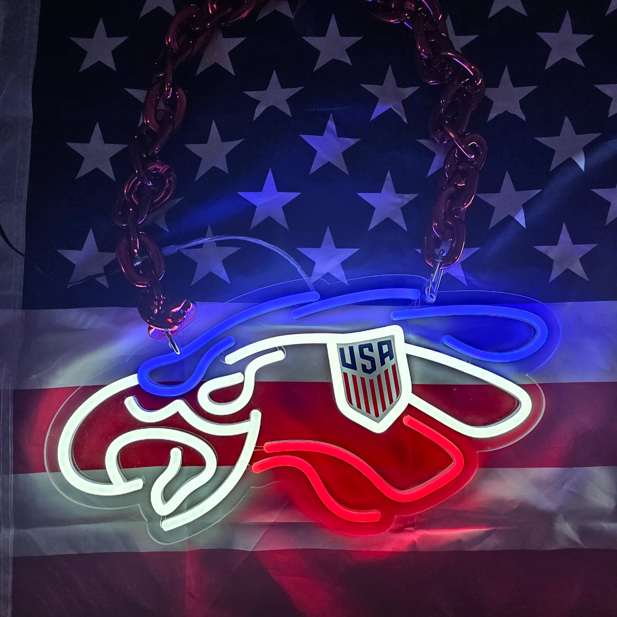 Philadelphia eagles American football LED Neon Sign with Hanging Chain Chains for fans