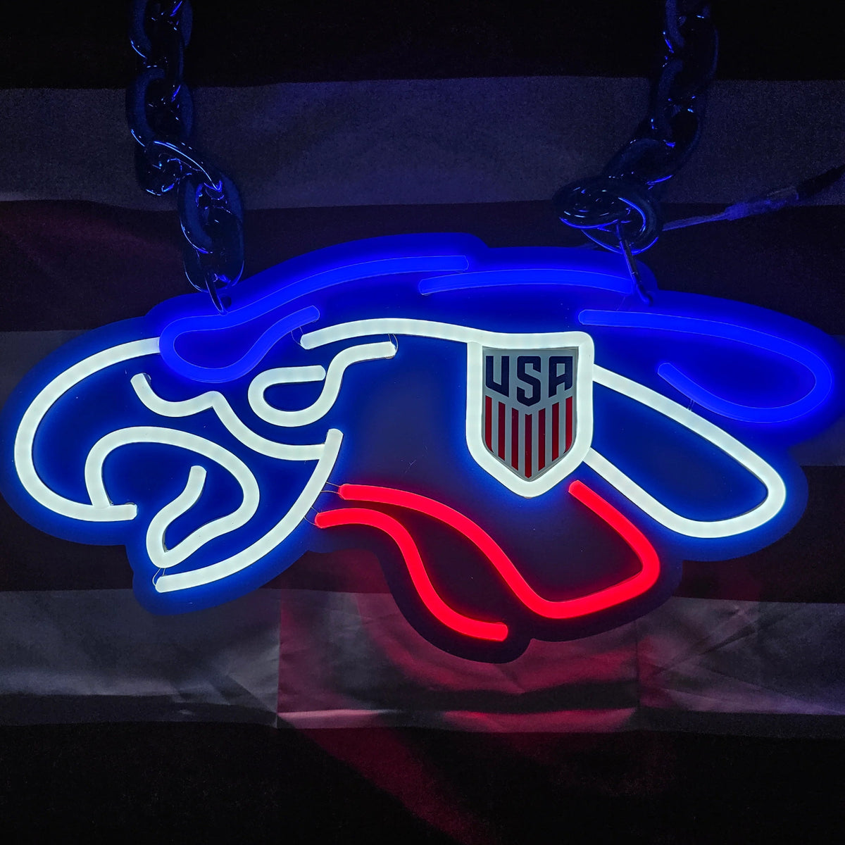 Philadelphia eagles American football LED Neon Sign with Hanging Chain Chains for fans