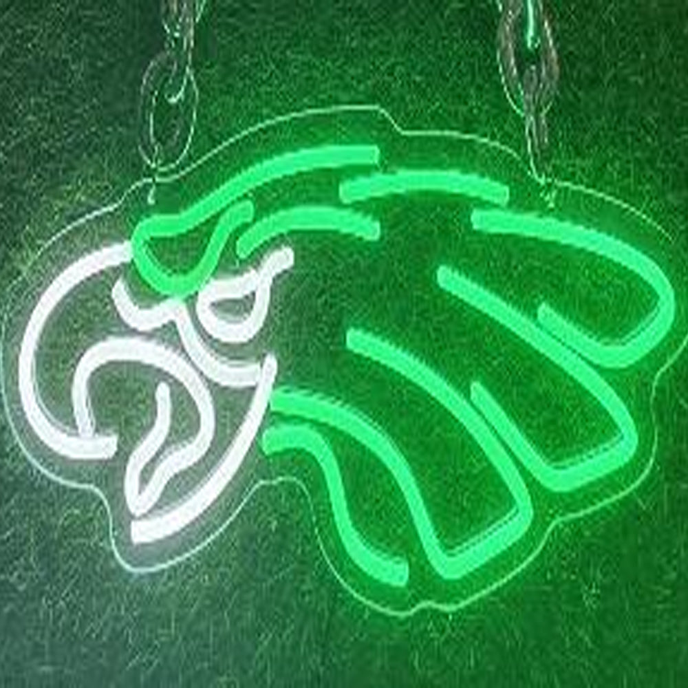 Philadelphia Eagles NFL big logo chains Chains for fans