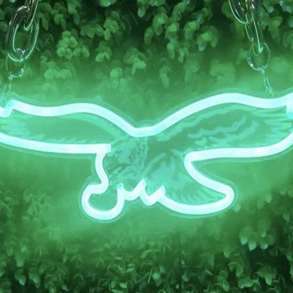 Philadelphia Eagles NFL big logo chains Chains for fans