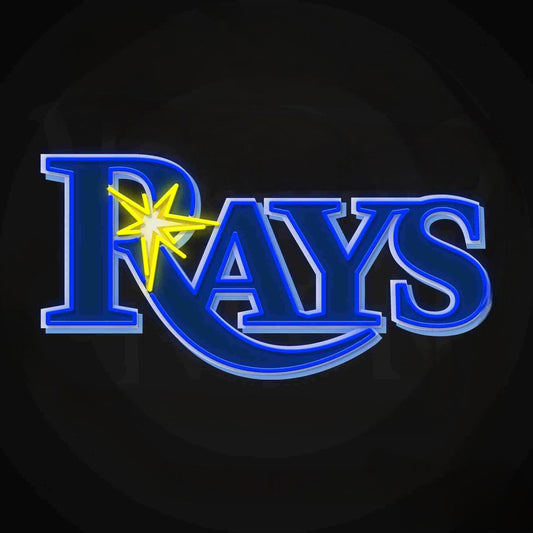 Sport fans Tampa Bay Neon light up big logo chain 12V including chains Chains for fans