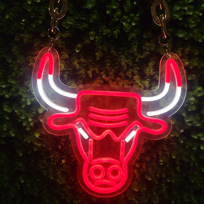 NBA bulls neon sign