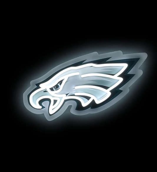 NFL fans chains Team Logo LED Neon Light Up Sign Chains for fans