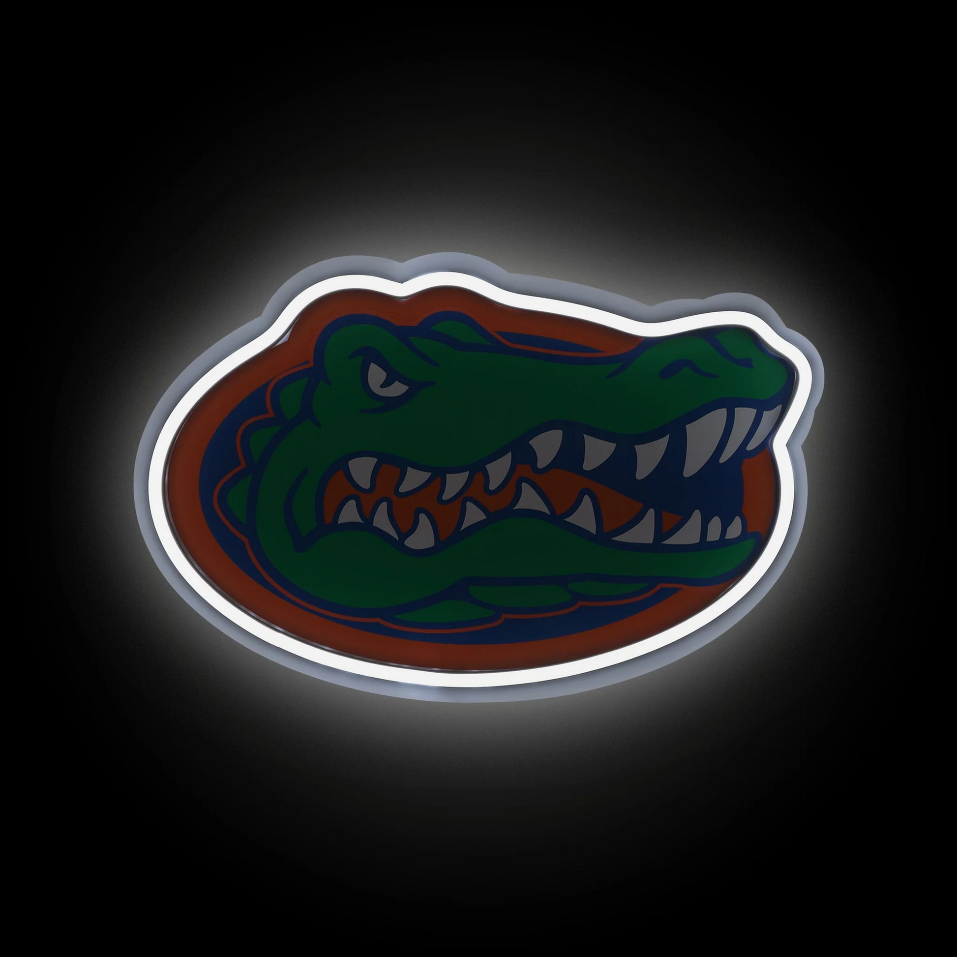 College Group Florida Gators LED Neon Light Up Team sign light Chains for fans