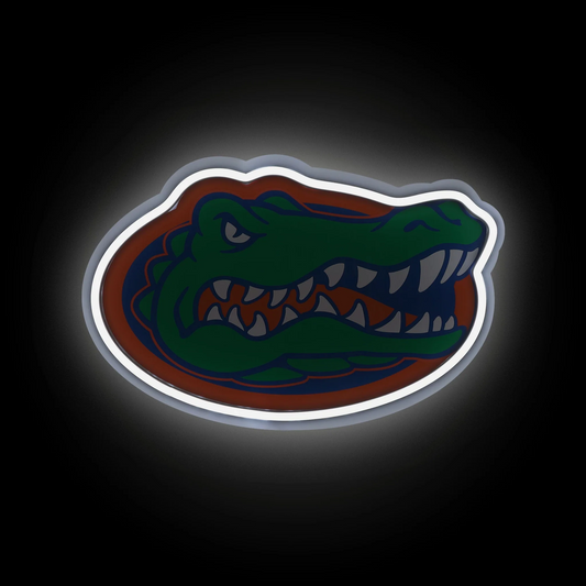 College Group Florida Gators LED Neon Light Up Team sign light Chains for fans