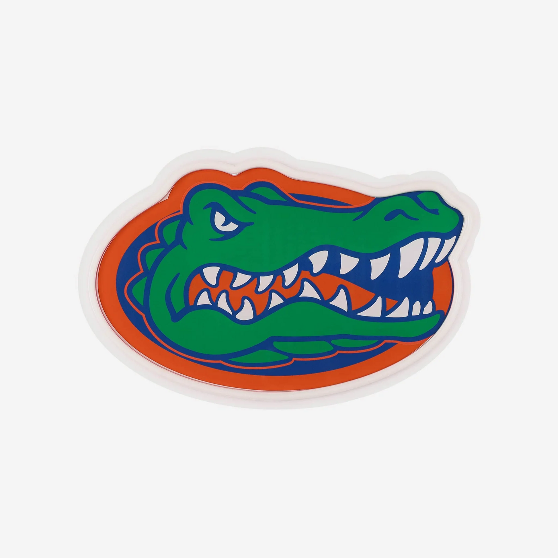 College Group Florida Gators LED Neon Light Up Team sign light（副本） Chains for fans