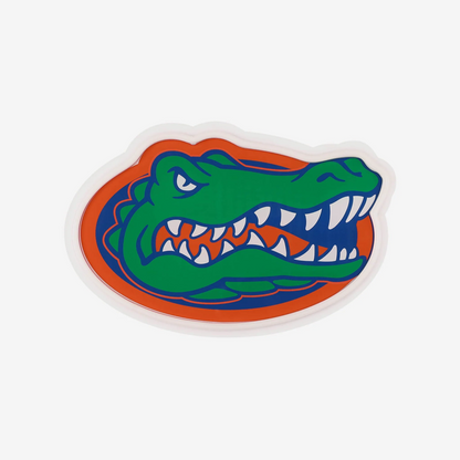 College Group Florida Gators LED Neon Light Up Team sign light（副本） Chains for fans