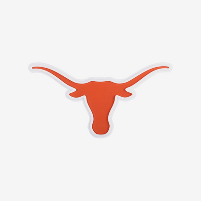 College Group Texas Longhorns LED Neon Light Up Team sign light Chains for fans