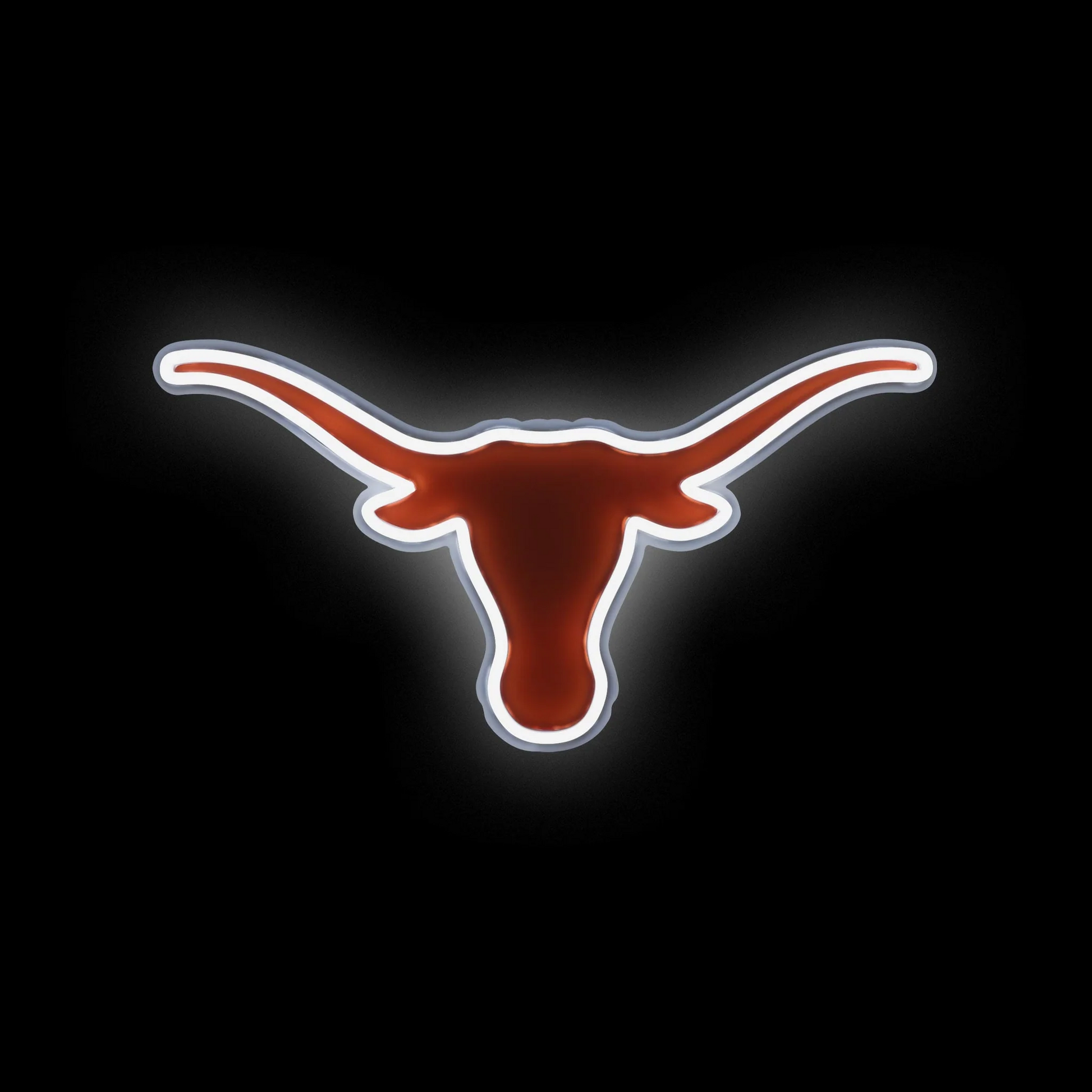 College Group Texas Longhorns LED Neon Light Up Team sign light Chains for fans