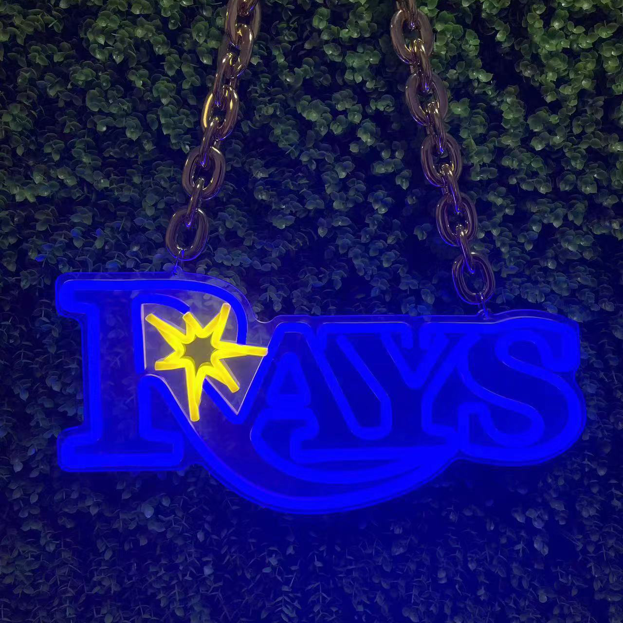 Tampa bay rays blue neon sign